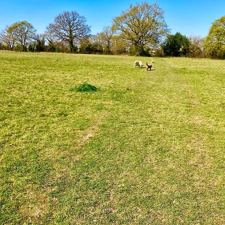 Elkstone Studio Private Hottub Pet Friendly Malvern Zewnętrze zdjęcie