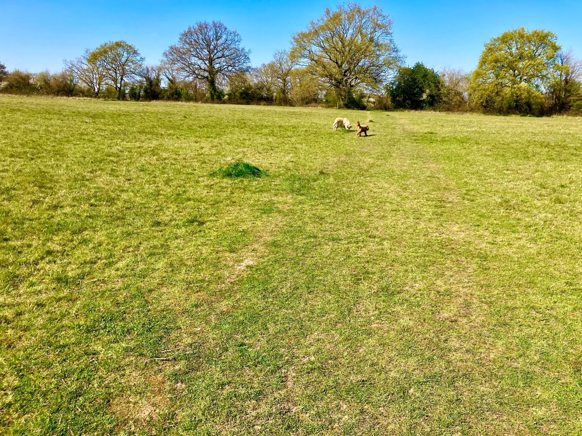 Elkstone Studio Private Hottub Pet Friendly Malvern Zewnętrze zdjęcie